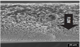 Assymetrical Membrane